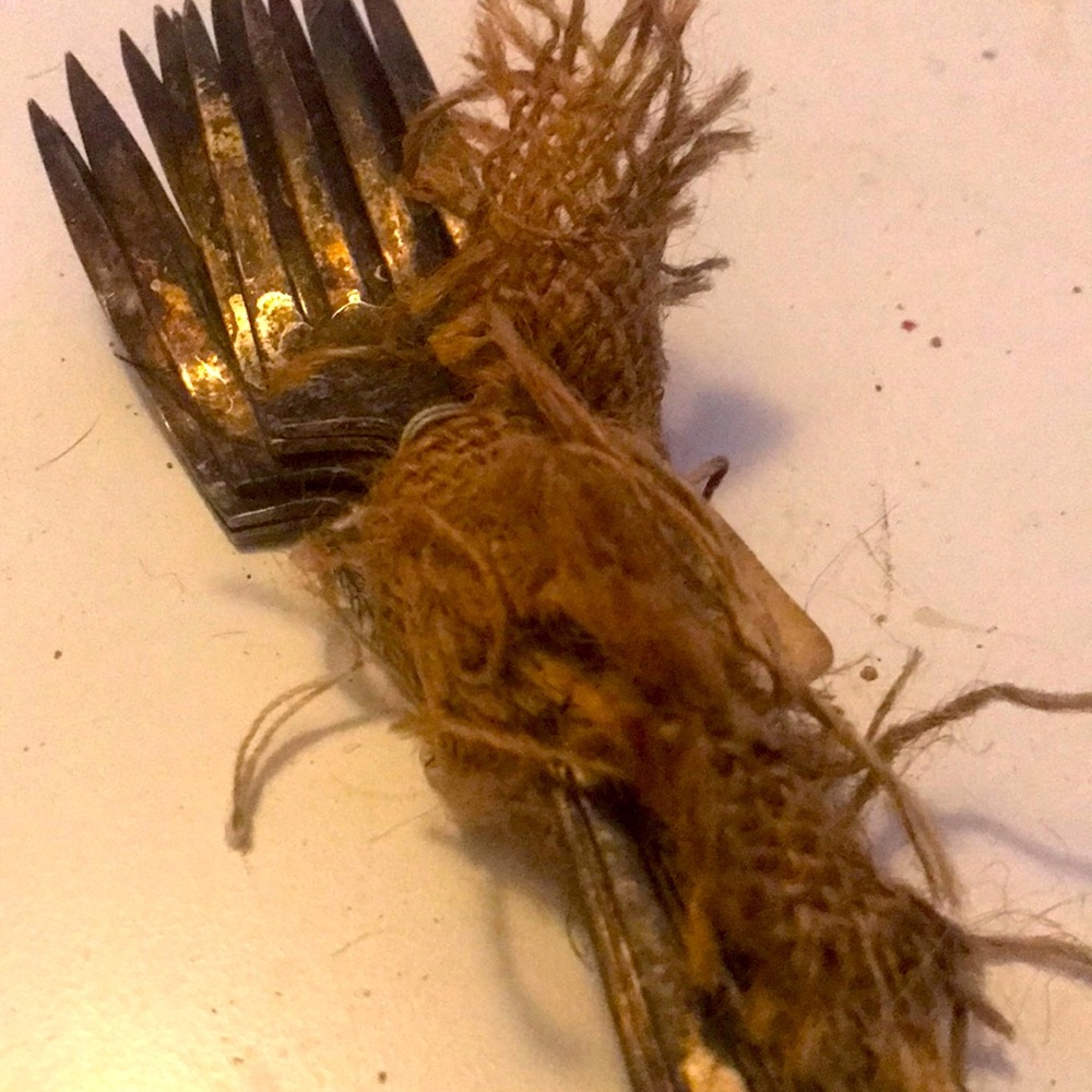 Wilshire silverplated forks